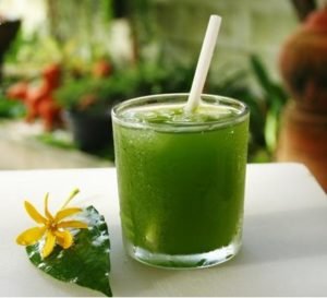 The Newest Healthy Drink - Chlorophyll Water | Pharmacy 11550
